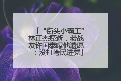 “街头小霸王”林正杰癌逝，老战友许国泰曝他遗愿：没打垮民进党