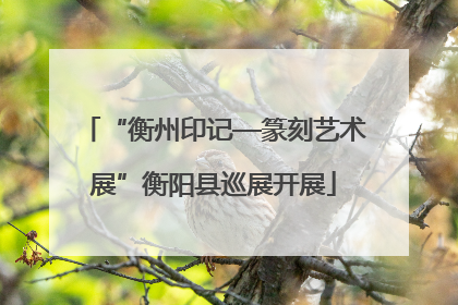 “衡州印记—篆刻艺术展”衡阳县巡展开展