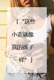 “这些小麦就像我的孩子一样”