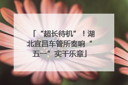 “超长待机”！湖北宜昌车管所奏响“五一”实干乐章