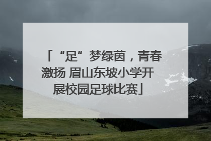 “足”梦绿茵，青春激扬 眉山东坡小学开展校园足球比赛