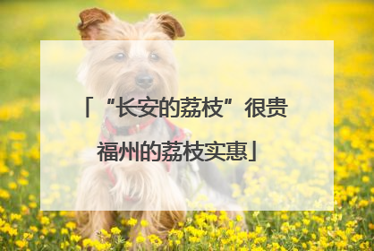 “长安的荔枝”很贵 福州的荔枝实惠