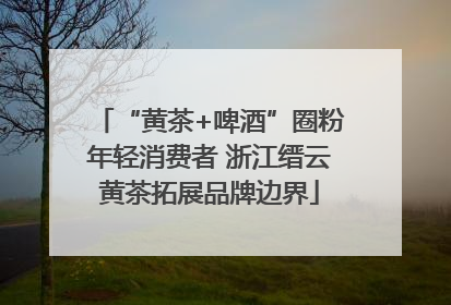 “黄茶+啤酒”圈粉年轻消费者 浙江缙云黄茶拓展品牌边界