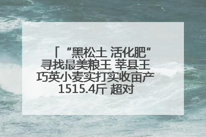 “黑松土 活化肥”寻找最美粮王 莘县王巧英小麦实打实收亩产1515.4斤 超对照田144斤！