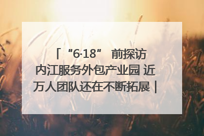 “6·18” 前探访内江服务外包产业园 近万人团队还在不断拓展｜内江东兴“红”在哪⑤