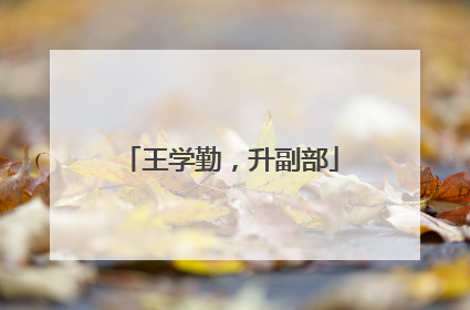王学勤，升副部