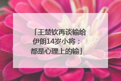 王楚钦再谈输给伊朗14岁小将：都是心理上的输
