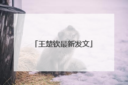 王楚钦最新发文