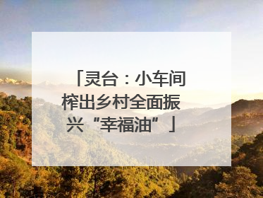 灵台：小车间榨出乡村全面振兴“幸福油”
