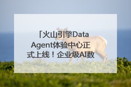 火山引擎Data Agent体验中心正式上线！企业级AI数据专家触手可及