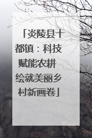 炎陵县十都镇：科技赋能农耕 绘就美丽乡村新画卷
