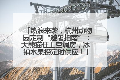 热浪来袭，杭州动物园定制“避暑指南”：大熊猫住上空调房，冰镇水果捞定时供应！