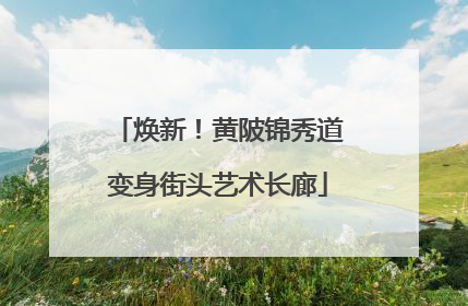 焕新！黄陂锦秀道变身街头艺术长廊