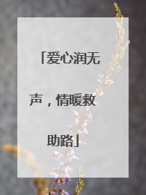 爱心润无声，情暖救助路