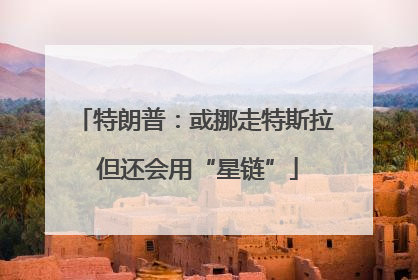 特朗普：或挪走特斯拉 但还会用“星链”