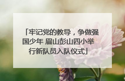 牢记党的教导，争做强国少年 眉山彭山四小举行新队员入队仪式