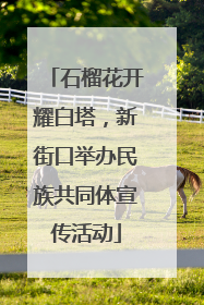 石榴花开耀白塔，新街口举办民族共同体宣传活动