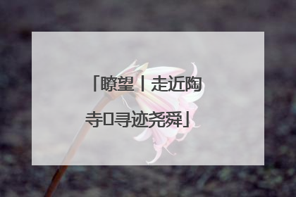 瞭望丨走近陶寺 寻迹尧舜