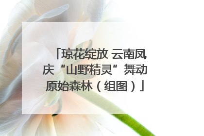 琼花绽放 云南凤庆“山野精灵”舞动原始森林（组图）