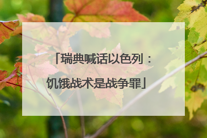 瑞典喊话以色列：饥饿战术是战争罪