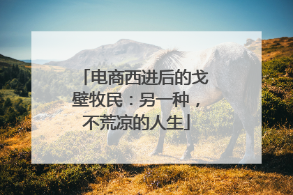 电商西进后的戈壁牧民：另一种，不荒凉的人生