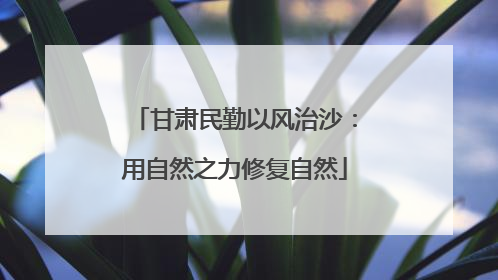 甘肃民勤以风治沙：用自然之力修复自然