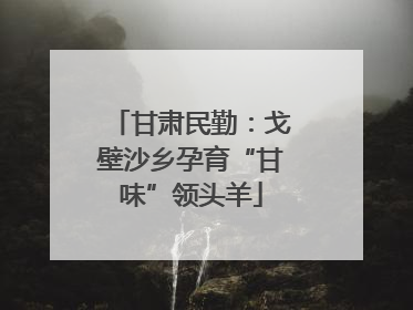 甘肃民勤：戈壁沙乡孕育“甘味”领头羊
