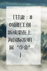 甘肃：80项职工创新成果在上海国际发明展“夺金”