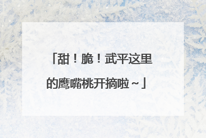 甜！脆！武平这里的鹰嘴桃开摘啦～