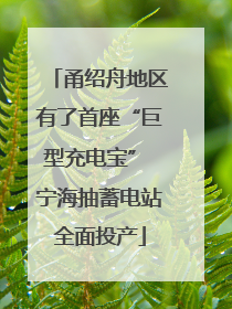 甬绍舟地区有了首座“巨型充电宝” 宁海抽蓄电站全面投产