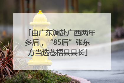 由广东调赴广西两年多后，“85后”张东方当选苍梧县县长
