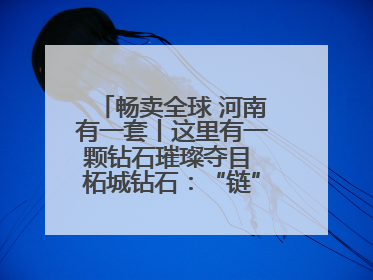 畅卖全球 河南有一套丨这里有一颗钻石璀璨夺目 柘城钻石：“链”就发展新动力