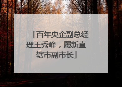 百年央企副总经理王秀峰，履新直辖市副市长