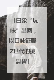 白象“玩味”出圈，以口味征服Z世代的挑剔胃