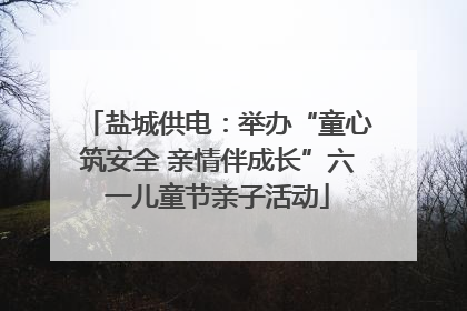 盐城供电：举办“童心筑安全 亲情伴成长”六一儿童节亲子活动