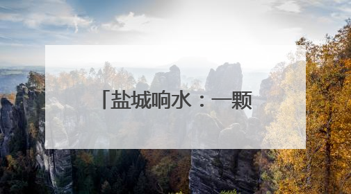 盐城响水：一颗西兰花如何变成“致富花”？
