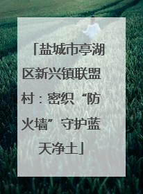 盐城市亭湖区新兴镇联盟村：密织“防火墙”守护蓝天净土