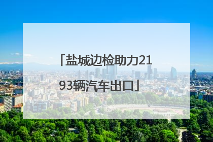 盐城边检助力2193辆汽车出口