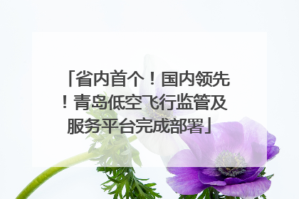 省内首个！国内领先！青岛低空飞行监管及服务平台完成部署
