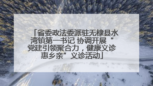 省委政法委派驻无棣县水湾镇第一书记 协调开展“党建引领聚合力，健康义诊惠乡亲”义诊活动