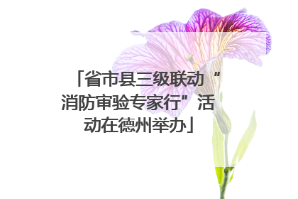 省市县三级联动“消防审验专家行”活动在德州举办