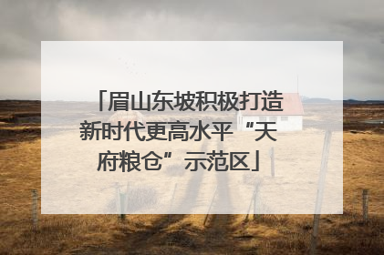眉山东坡积极打造新时代更高水平“天府粮仓”示范区