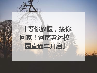 等你放假，接你回家！河南暑运校园直通车开启
