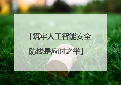 筑牢人工智能安全防线是应时之举