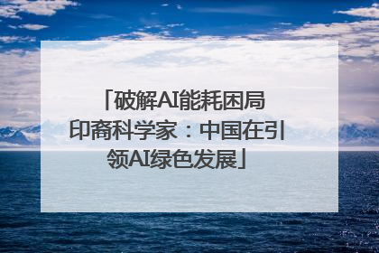 破解AI能耗困局 印裔科学家：中国在引领AI绿色发展