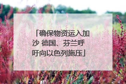 确保物资运入加沙 德国、芬兰呼吁向以色列施压