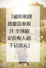 碳价和排放覆盖率双升 全球碳定价收入超千亿美元