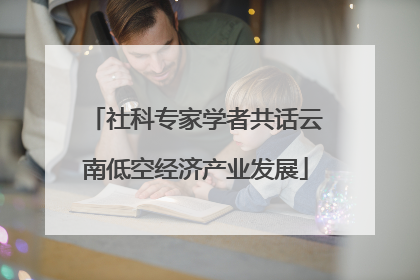 社科专家学者共话云南低空经济产业发展