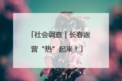 社会调查｜长春露营“热”起来！