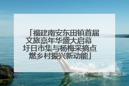 福建南安东田镇首届文旅嘉年华盛大启幕 圩日市集与杨梅采摘点燃乡村振兴新动能